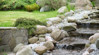 Stream in the garden
