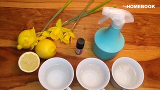 Vinegar Cleaner
