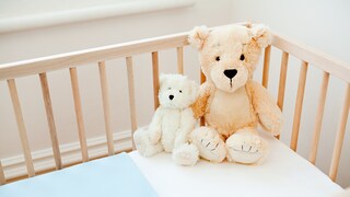 Crib with Stuffed Animals
