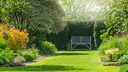 A dense hedge not only protects against prying eyes, but can also visually round off a garden