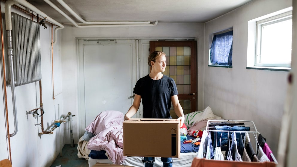 Summer or winter clothes stored in the cellar usually also take on a musty smell - what can you do about it?