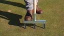 Aeration fork