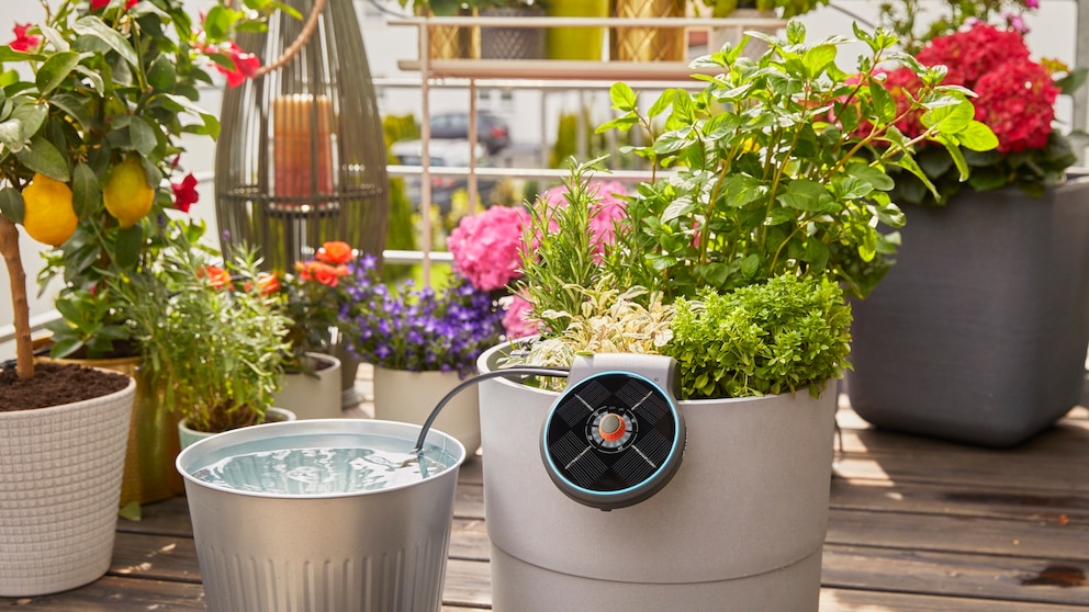 Solar Irrigation