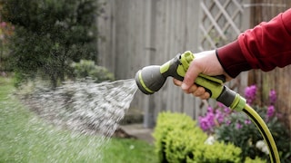 Oscillating sprinklers and impulse sprinklers are definitely worth considering for properties with large lawns.