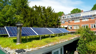 Solar Green Roof