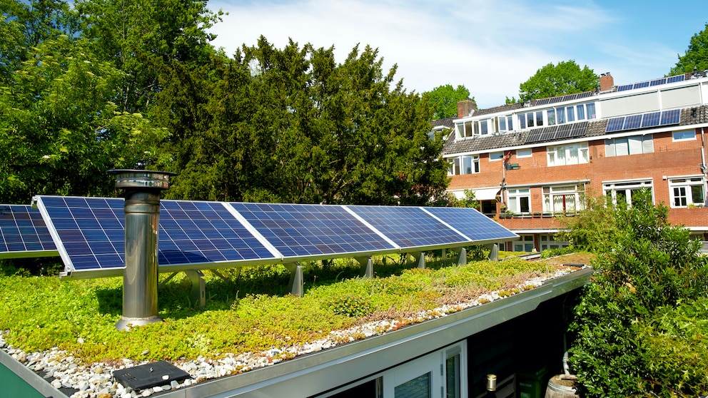Solar Green Roof