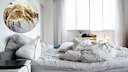 House dust mites are found in every home. They feed on skin flakes, among other things.