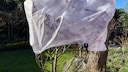 Frost protection fleece