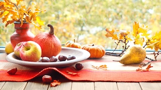 Autumn is the season for pumpkin decorations. You can artfully arrange them or carve patterns into them.