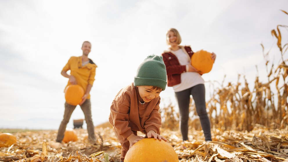 A family is together for the pumpkin harvest