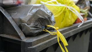 Sorting Trash at the Garbage Bin