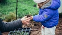 If the weather cooperates, you can plant hardy vegetables even in winter.