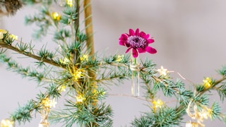 Flowers as Tree Decorations: Crafting Christmas Ornaments from Colorful Blooms