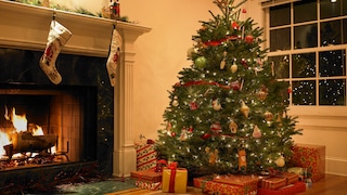 Anyone who buys a Christmas tree is also bringing home thousands of tiny roommates—unless they opt for an artificial alternative.