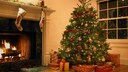 Anyone who buys a Christmas tree is also bringing home thousands of tiny roommates—unless they opt for an artificial alternative.