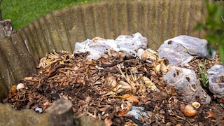 Even if it's stated on the packaging, compostable trash bags are often not allowed in organic waste bins.
