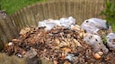 Even if it's stated on the packaging, compostable trash bags are often not allowed in organic waste bins.