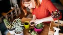 Repotting Plants