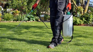 Glyphosate
