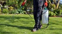 Glyphosate