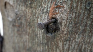 Copper Nail Tree