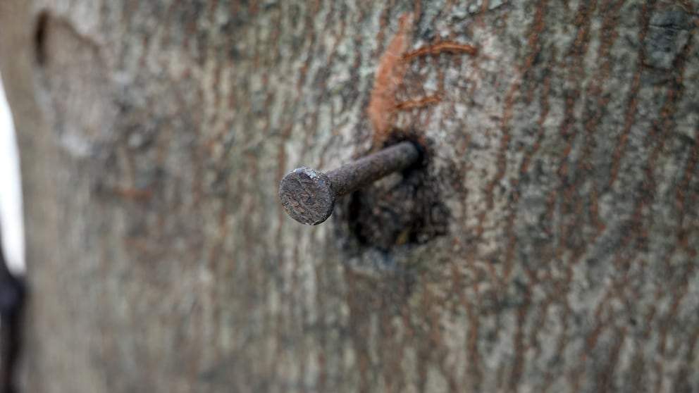 Copper Nail Tree