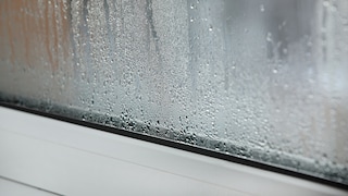 Condensation Between the Panes