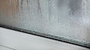 Condensation Between the Panes