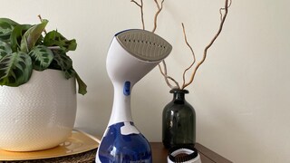 Lidl Steamer Test
