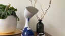 Lidl Steamer Test