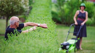 Dispute Among Neighbors