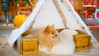 DIY for Dog Owners: Build a Cozy Dog Bed with a Tipi Using Just a Few Materials