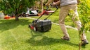 Lawn