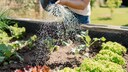 Whether it's mowing the lawn, removing weeds from joints, or trimming hedges, there are several unpopular gardening tasks. myHOMEBOOK wants to know which ones people "hate" the most.