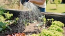 Climate Change in the Garden