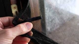 Insect screen