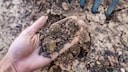A dried-out soil poses a real problem