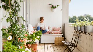 Not every plant thrives in a full-sun location.