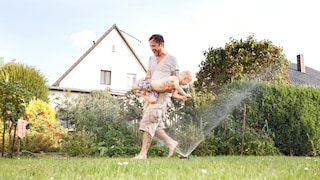 Can you imagine a garden without a lawn?