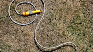 Lawn Care During Drought