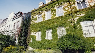 Green Facades
