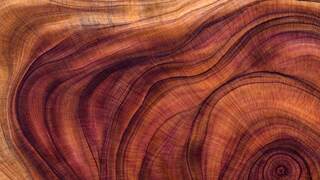 The color of the wood is intensified by surface treatments such as oiling, staining or varnishing.