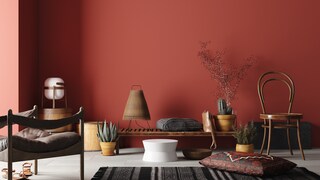 Red Trend Color
