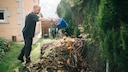 Many kitchen scraps and garden green waste eventually turn into fertilizer in a compost pile.
