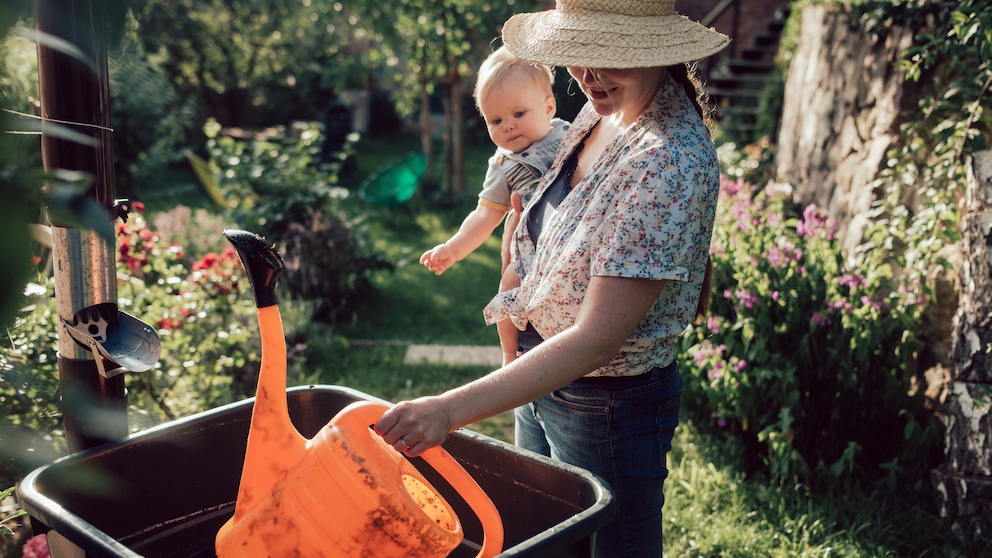 Using rainwater in the garden