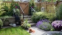 A Dog-Friendly Garden
