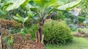 Can exotic plants be cultivated here due to milder temperatures?
