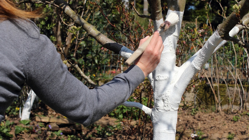 Paint the tree white