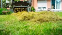 Scarifying the lawn in fall