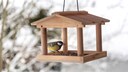 Birds don't always visit the bird feeder. What could be the reason?